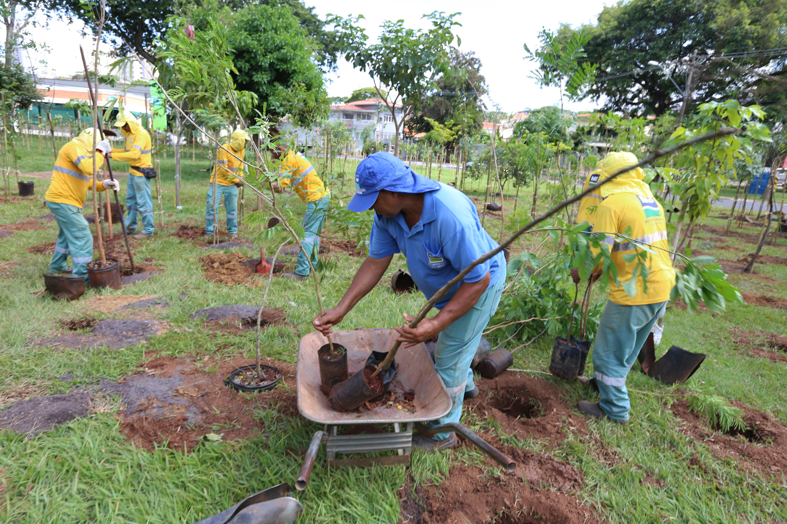 Equipe trabalha na implantação de protótipo de microfloresta urbana na região do Taquaral