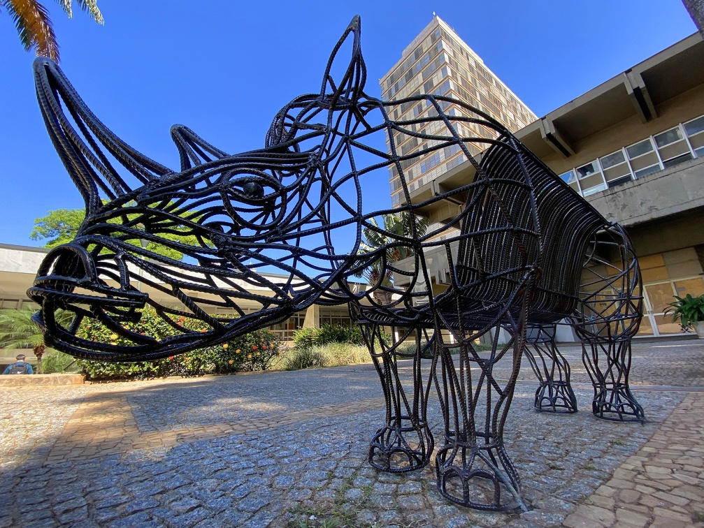 Firmino Piton/PMC Escultura interativa de rinoceronte é instalada em frente ao MACC Campinas