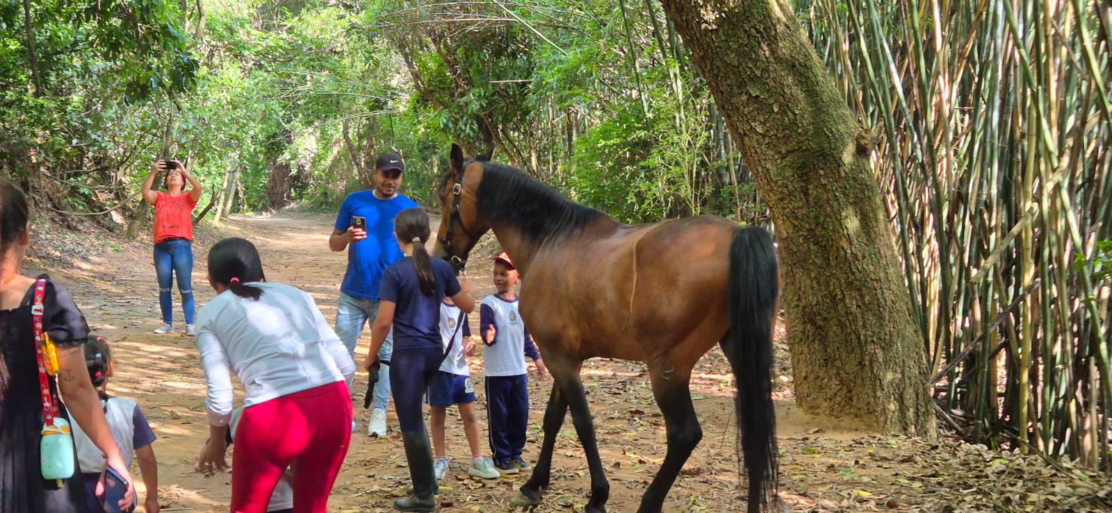 Na Trilha do Bonde, grupo aprendeu sobre os sons dos animais