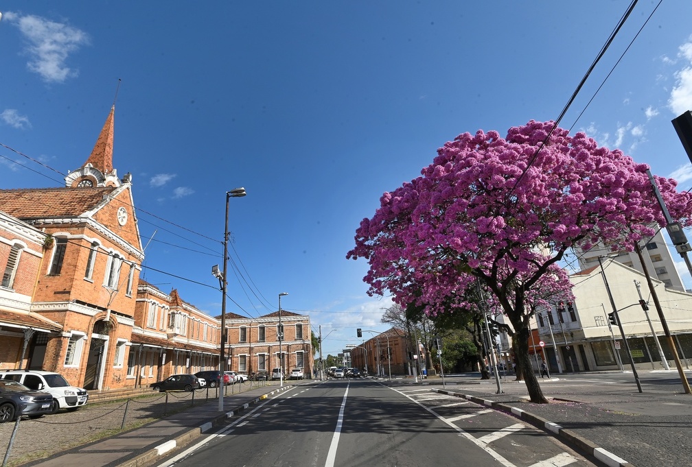 Carlos Bassan/PMC A Sala dos Toninhos fica atrás da Estação Cultura, na área central de Campinas