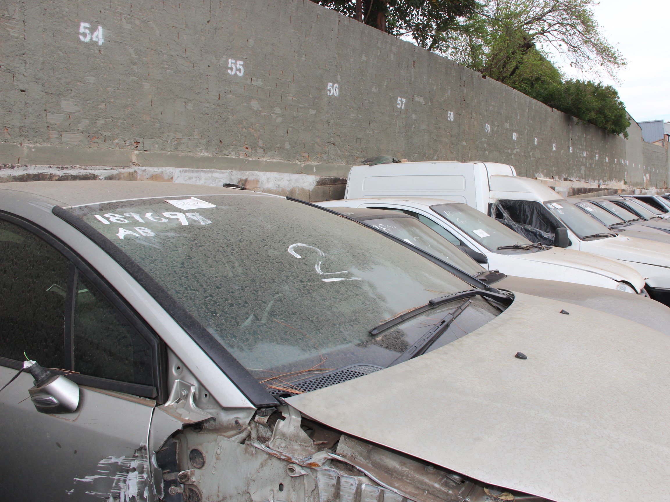 Ação promove saúde pública e evita problemas como a contaminação do solo e a proliferação de pragas e doenças