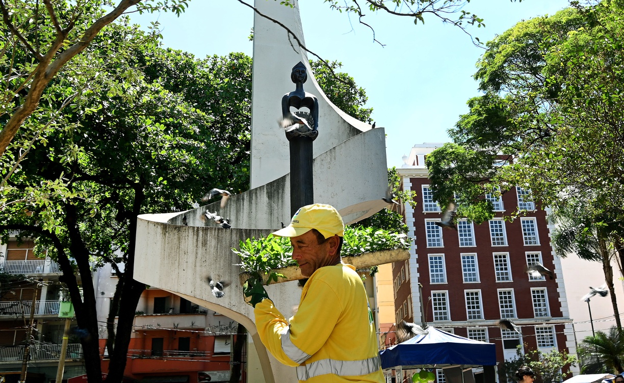 No Largo das Andorinhas: flores chegam para colorir 