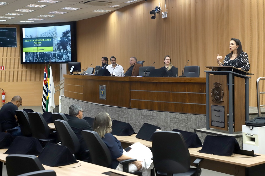 Fernanda Sunega A secretária de Urbanismo apresentou a proposta