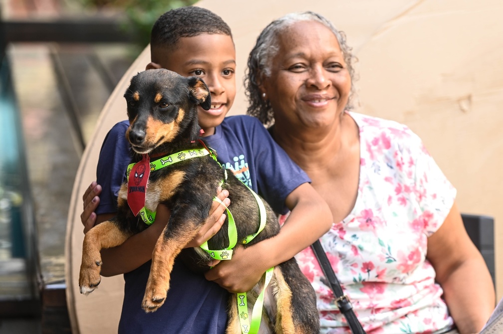 A adoção é um ato de amor que transforma a vida de animais abandonados e de suas novas famílias 