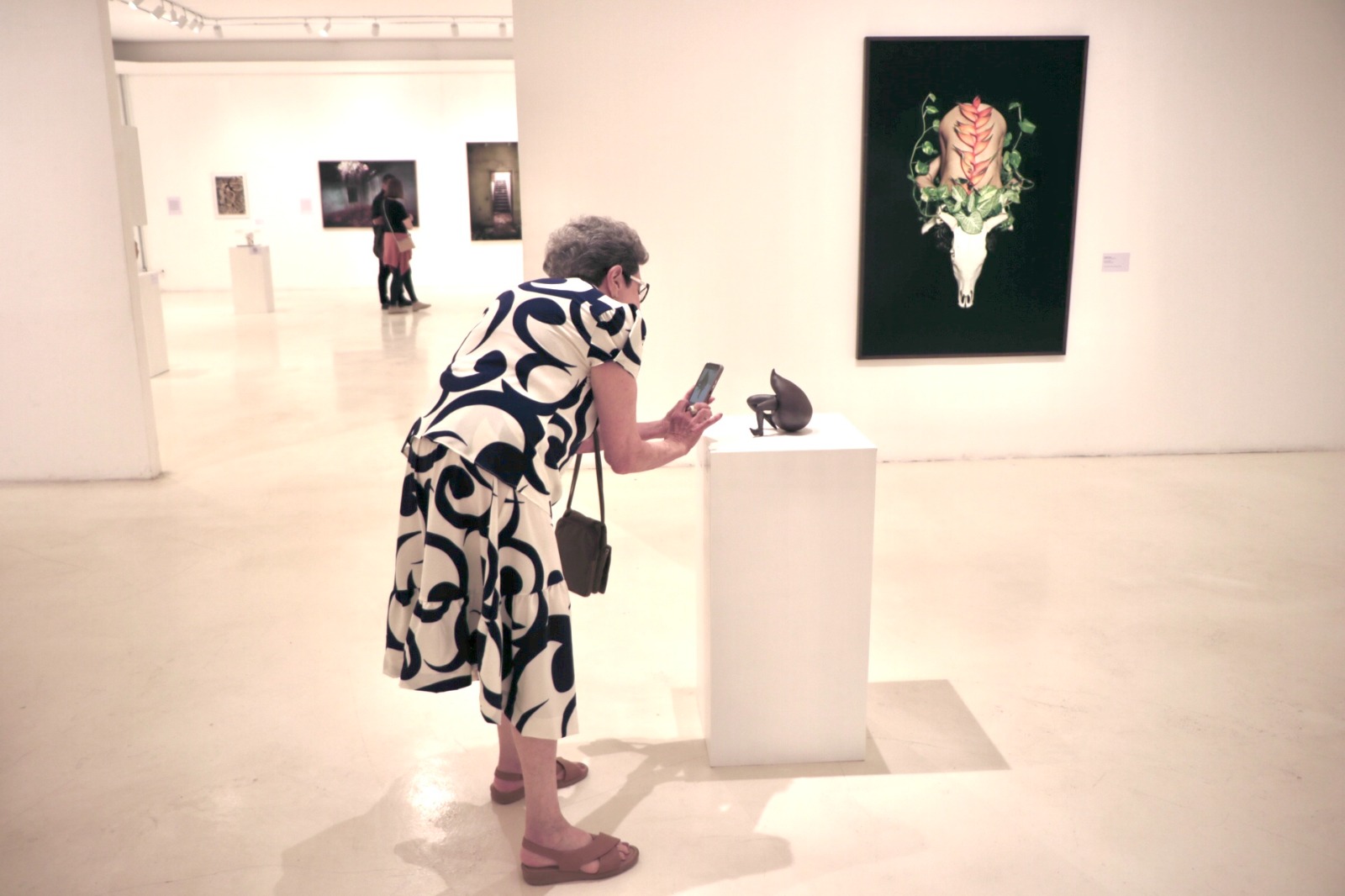 Firmino Piton Mostra celebra as seis décadas de atividades do museu