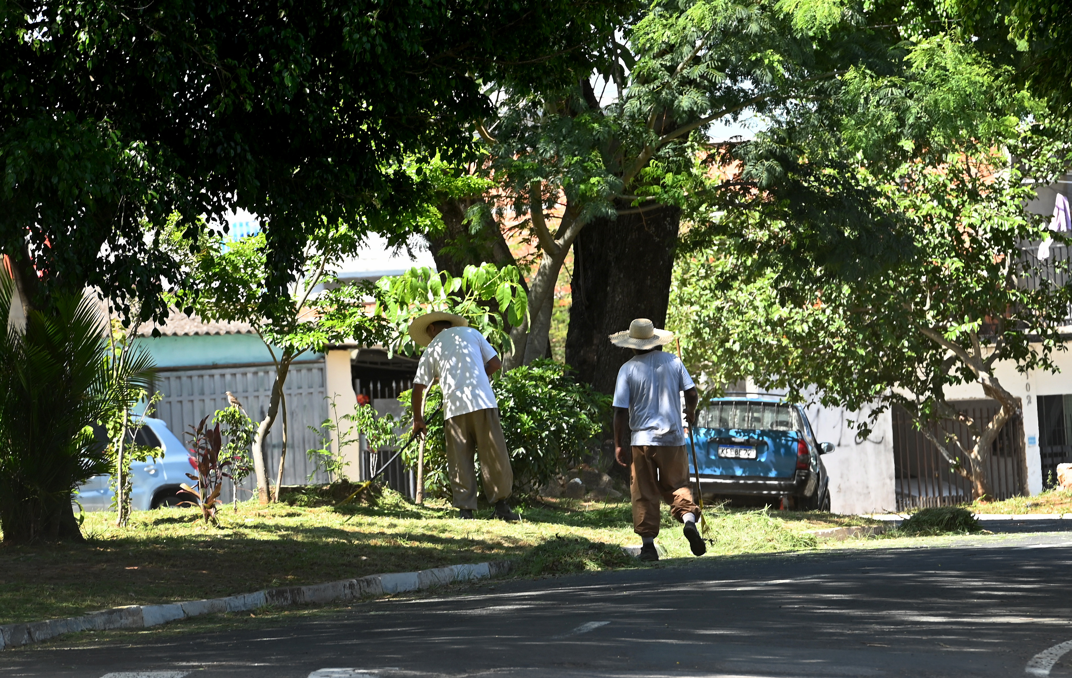 Reeducandos do programa de parceria com a Secretaria de Administração Penitenciária (SAP) ajudam no trabalho