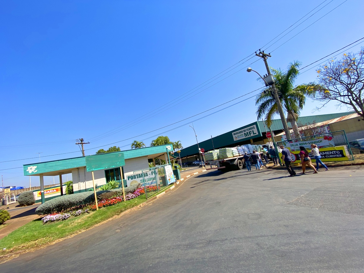 Firmino Piton/PMC O 1º Encontro de Carros Antigos da Ceasa acontece das 9h às 16h no bolsão atrás do Mercado de Flores