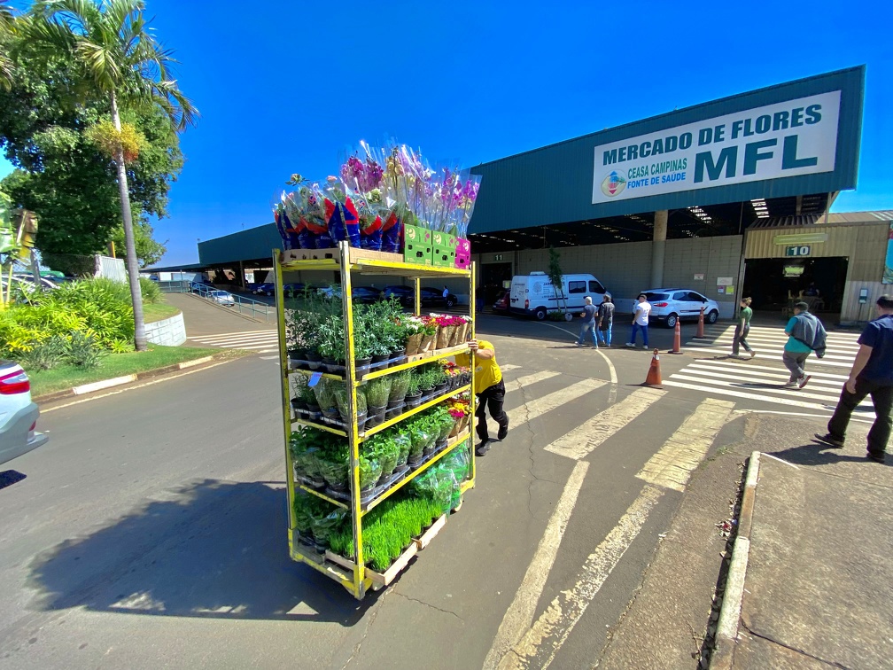 Firmino Piton Música e exposição de carros vão marcar o final de semana do Mercado de Flores