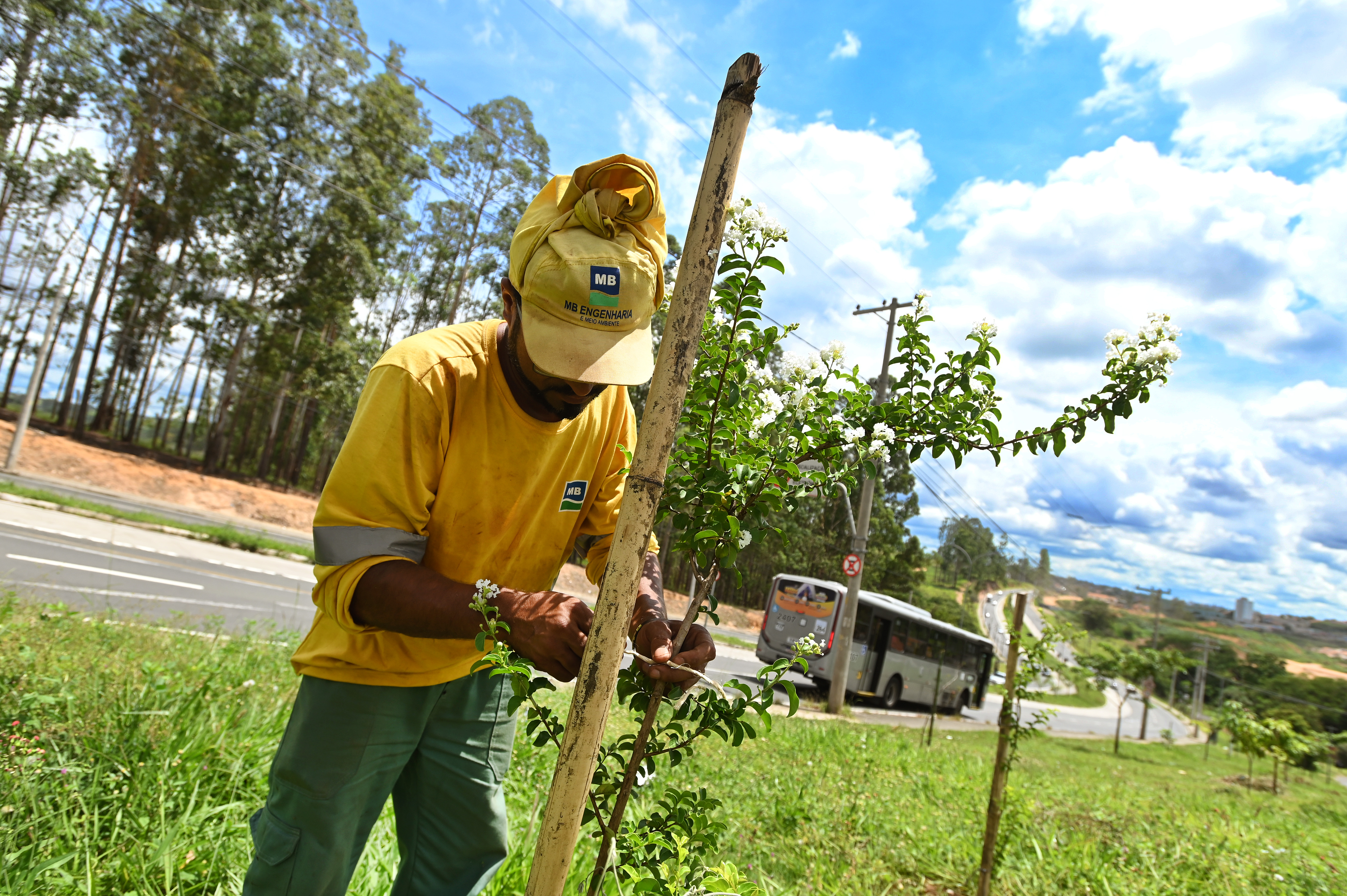 Trabalho das equipes de Serviços Públicos deixa a cidade mais bonita