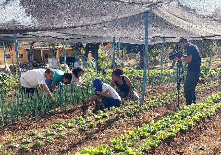 Horta do Jardim Florence, tema da reportagem finalista