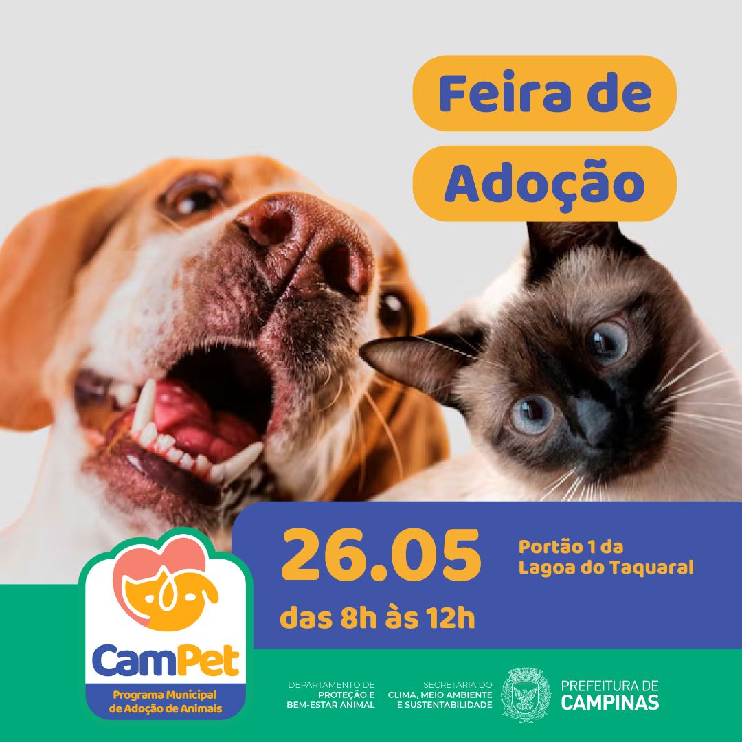 Feira visa aproximar os pets aos seus possíveis tutores