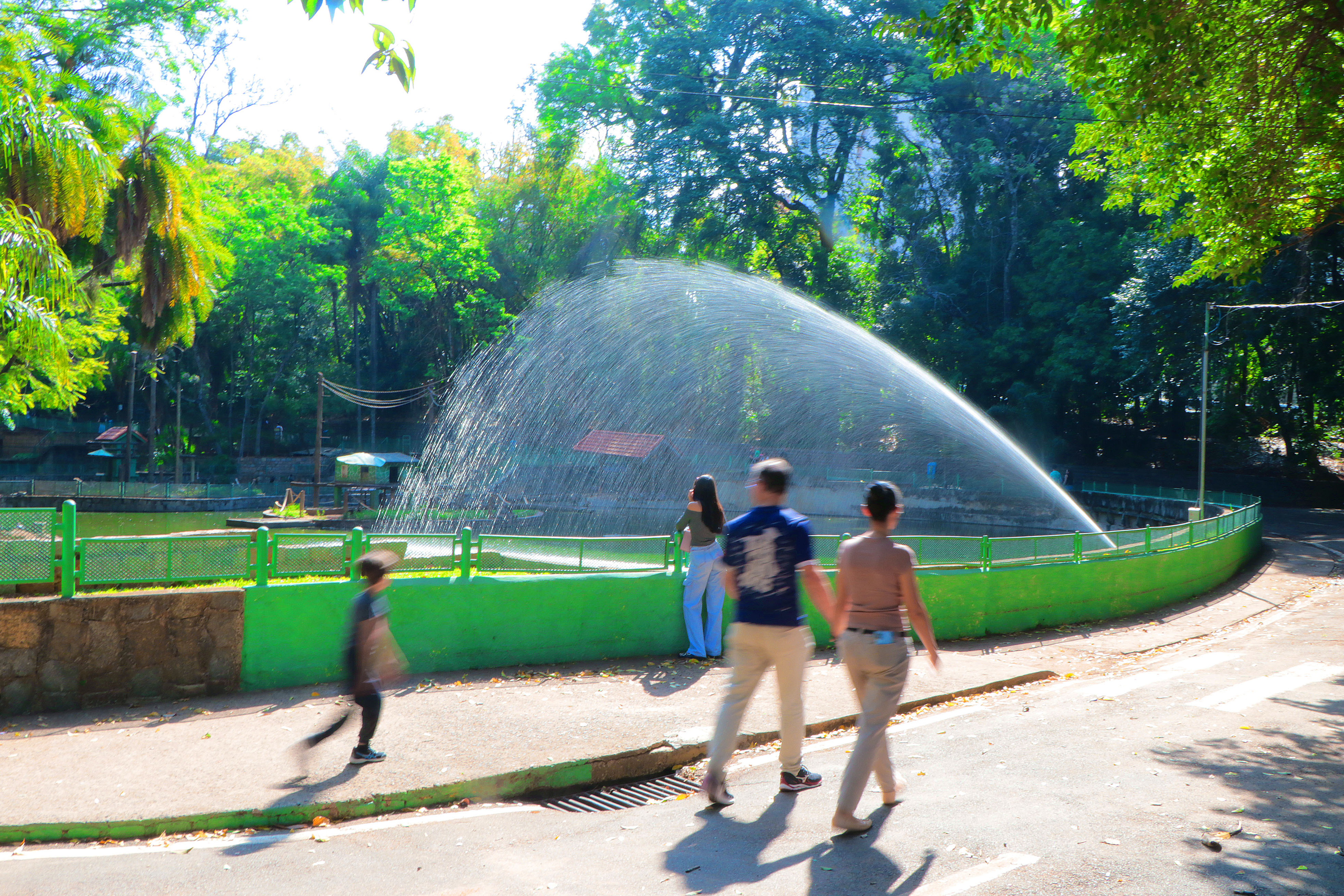 Bosque e parques de Campinas são opções acessíveis para a população