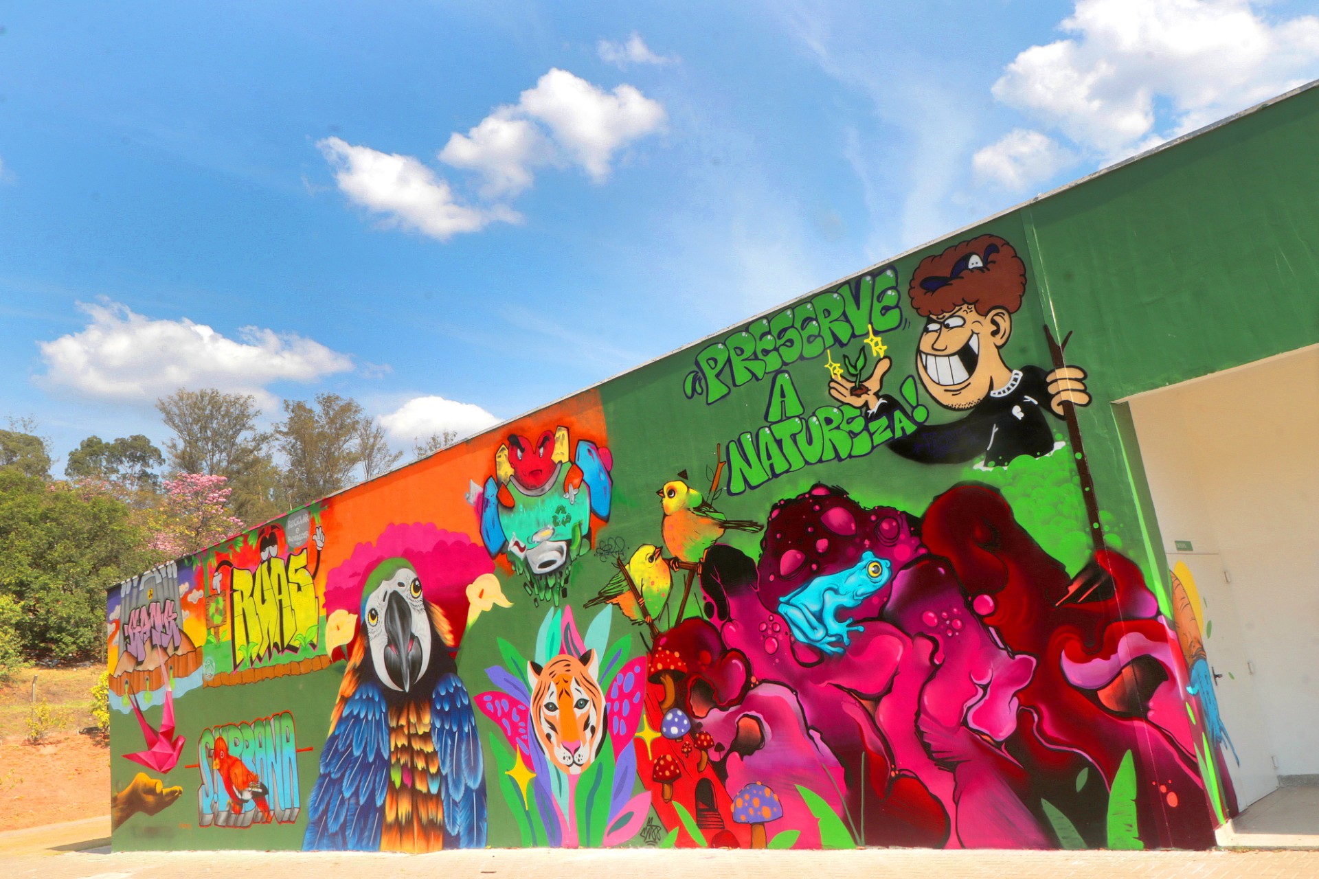 Firmino Piton Graffiti ressignifica o espaço urbano fortalecendo a identidade das comunidades