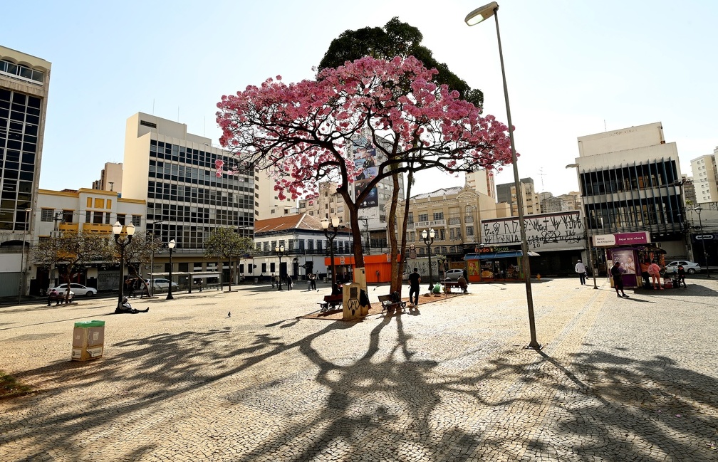 Carlos Bassan/PMC Além dos produtos tradicionais, o público encontrará brinquedos artesanais e criativos, ideais para presentear os pequenos e valorizar o trabalho dos artesãos campineiros