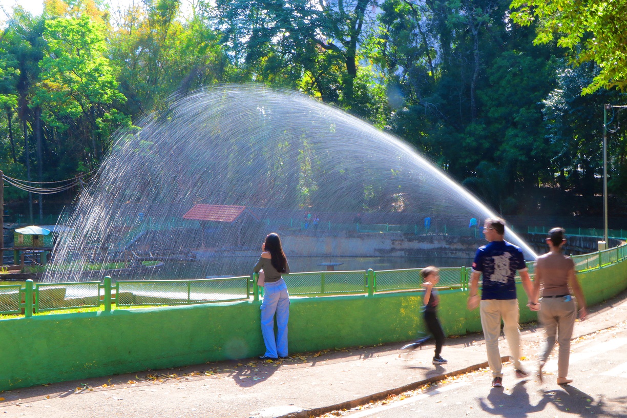Assim como os demais bosques e parques da cidade, o Bosque dos Jequitibás fica fechado na quinta-feira, dia 25 de dezembro, funcionando normalmente nos dias 24 e 26 de dezembro 