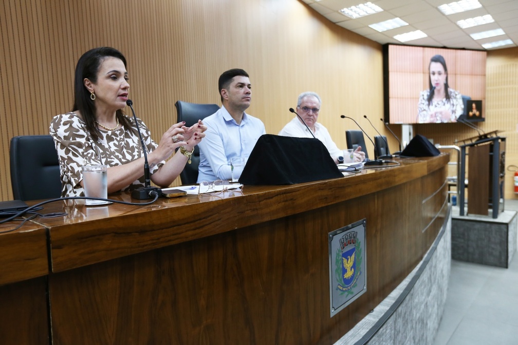 Adriano Rosa A secretária de Urbanismo, Carolina Baracat, apresentou o novo projeto na audiência pública