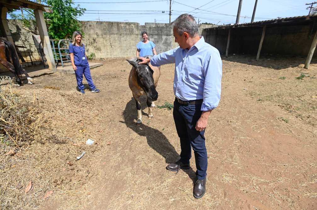 Rogério Capela A professora Michele (de azul escuro) e o secretário Adegas visitando local onde estão os cavalos