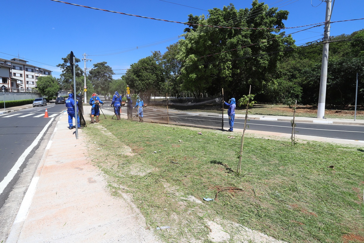 Foco é fazer a roçagem de praças e canteiros centrais de ruas e avenidas