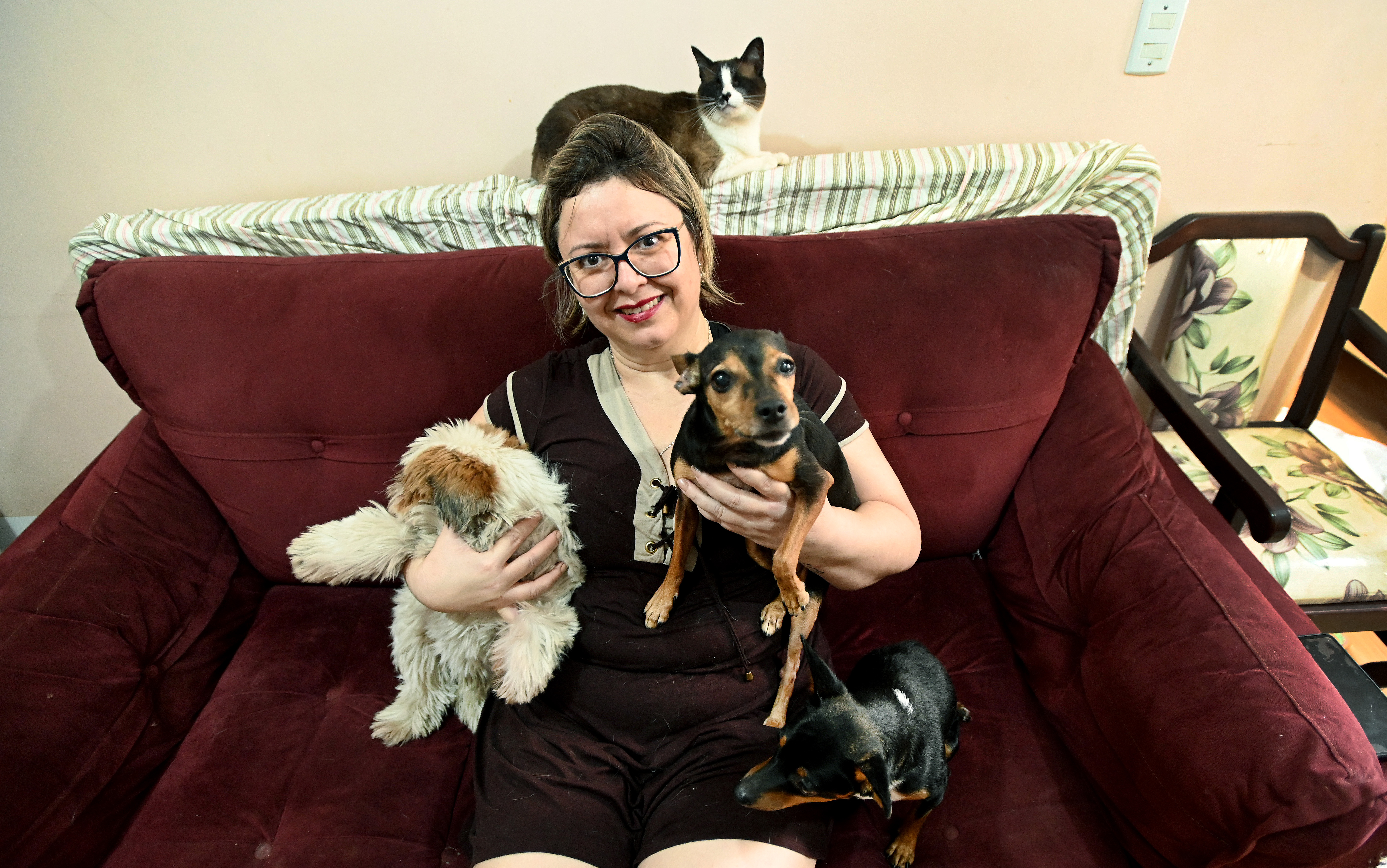 O Portal Animal foi a ferramenta utilizada para a adoção 