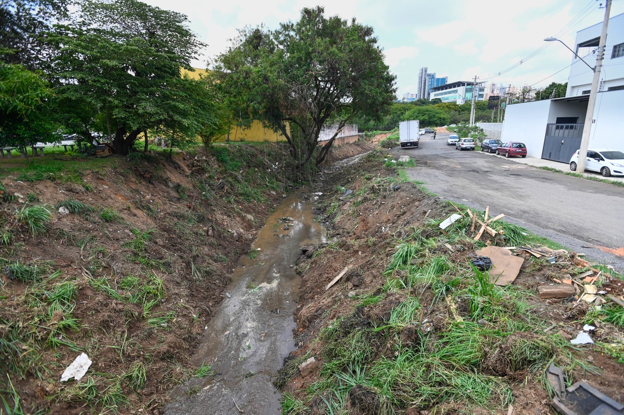 Rogério Capela Mato, terra, lixo levados pela chuva se depositam nos córregos e estreitam o espaço para passagem da água, causando alagamentos