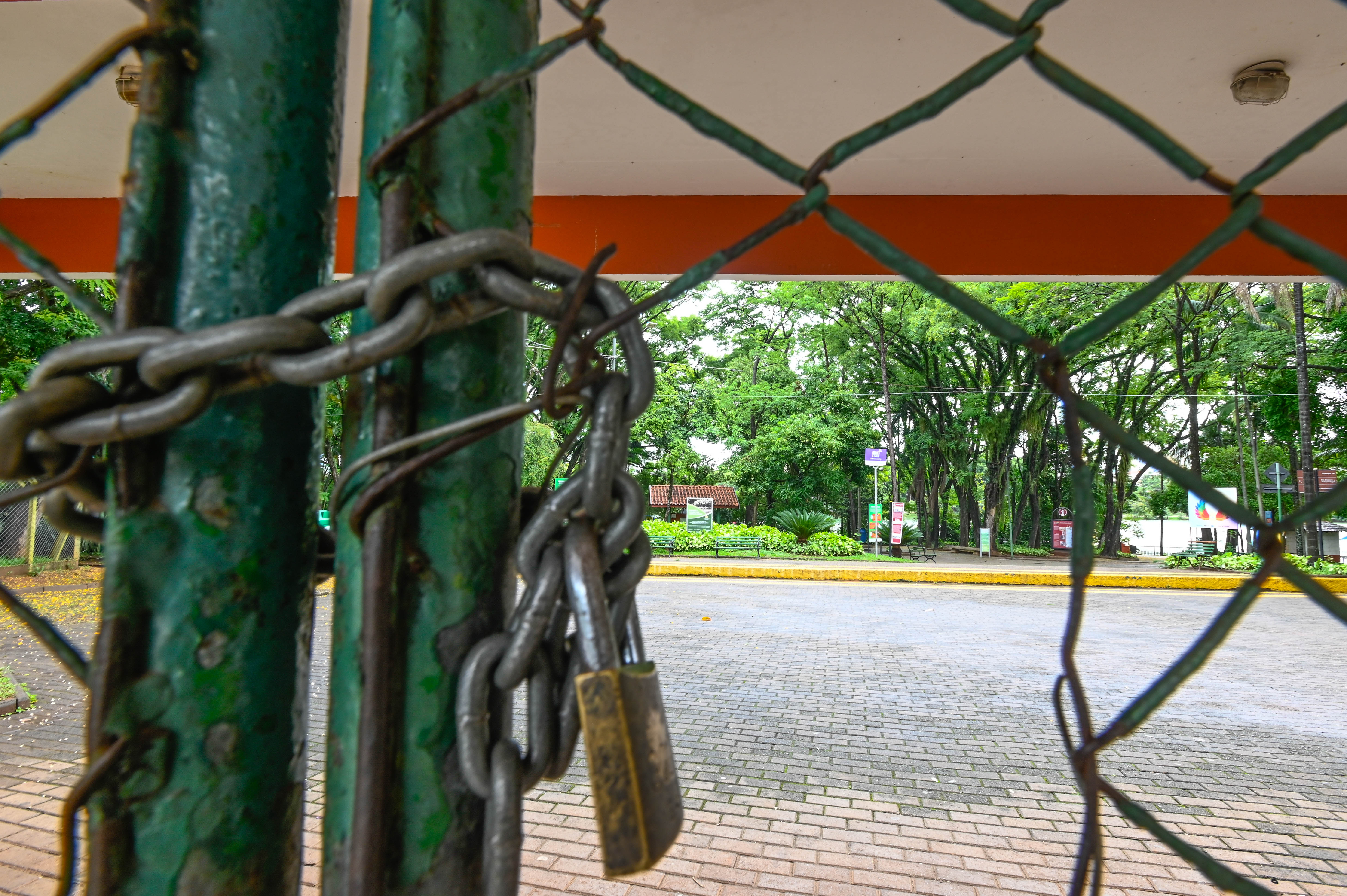 Decreto estabelece que parques e bosques sejam fechados à visitação pública quando o acumulado de chuvas chegar a 80 milímetros em 72 horas