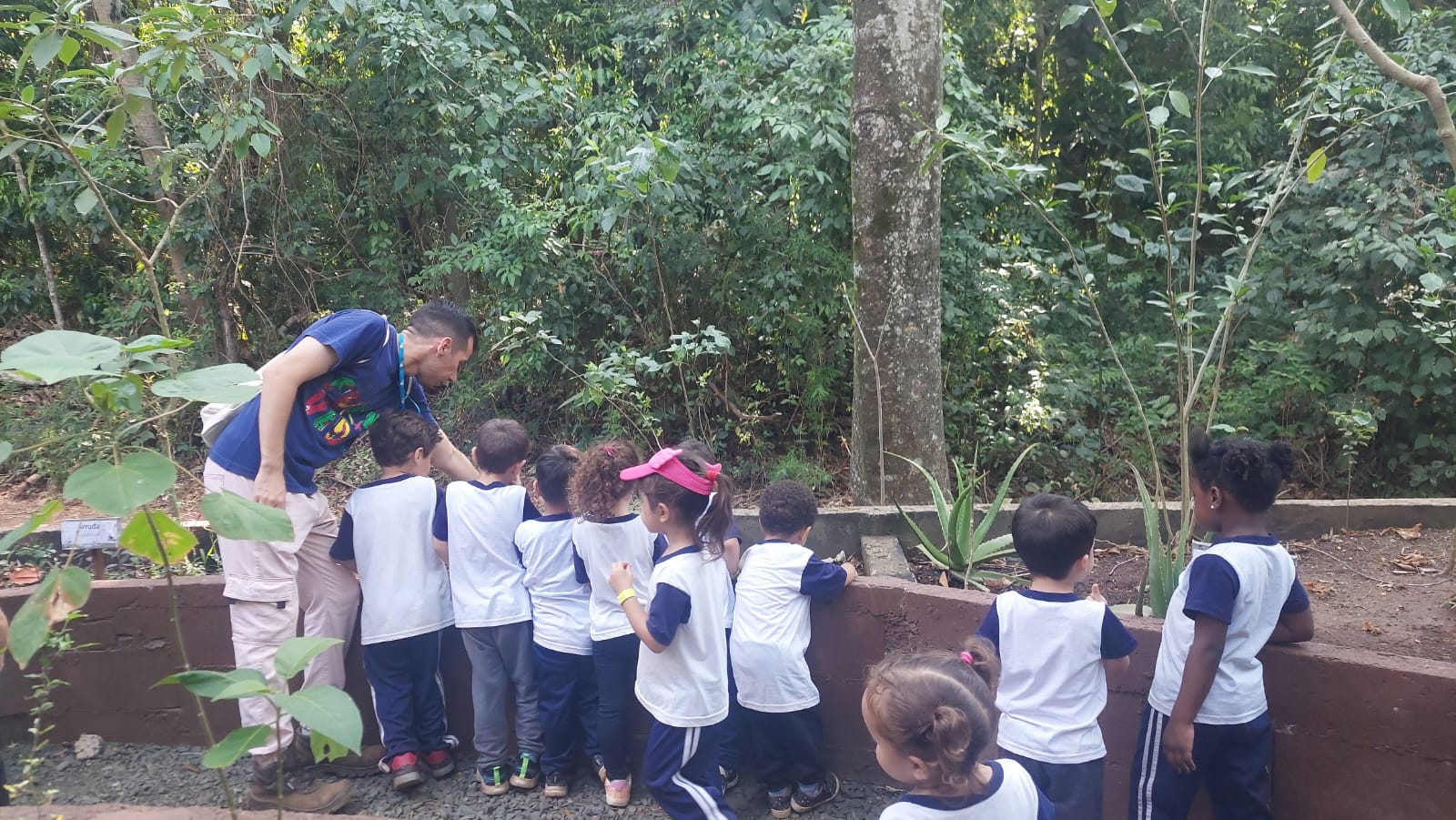 Divulgação Os pequenos alunos da CEI Dona Júlia dos Santos Dias prestaram atenção em tudo