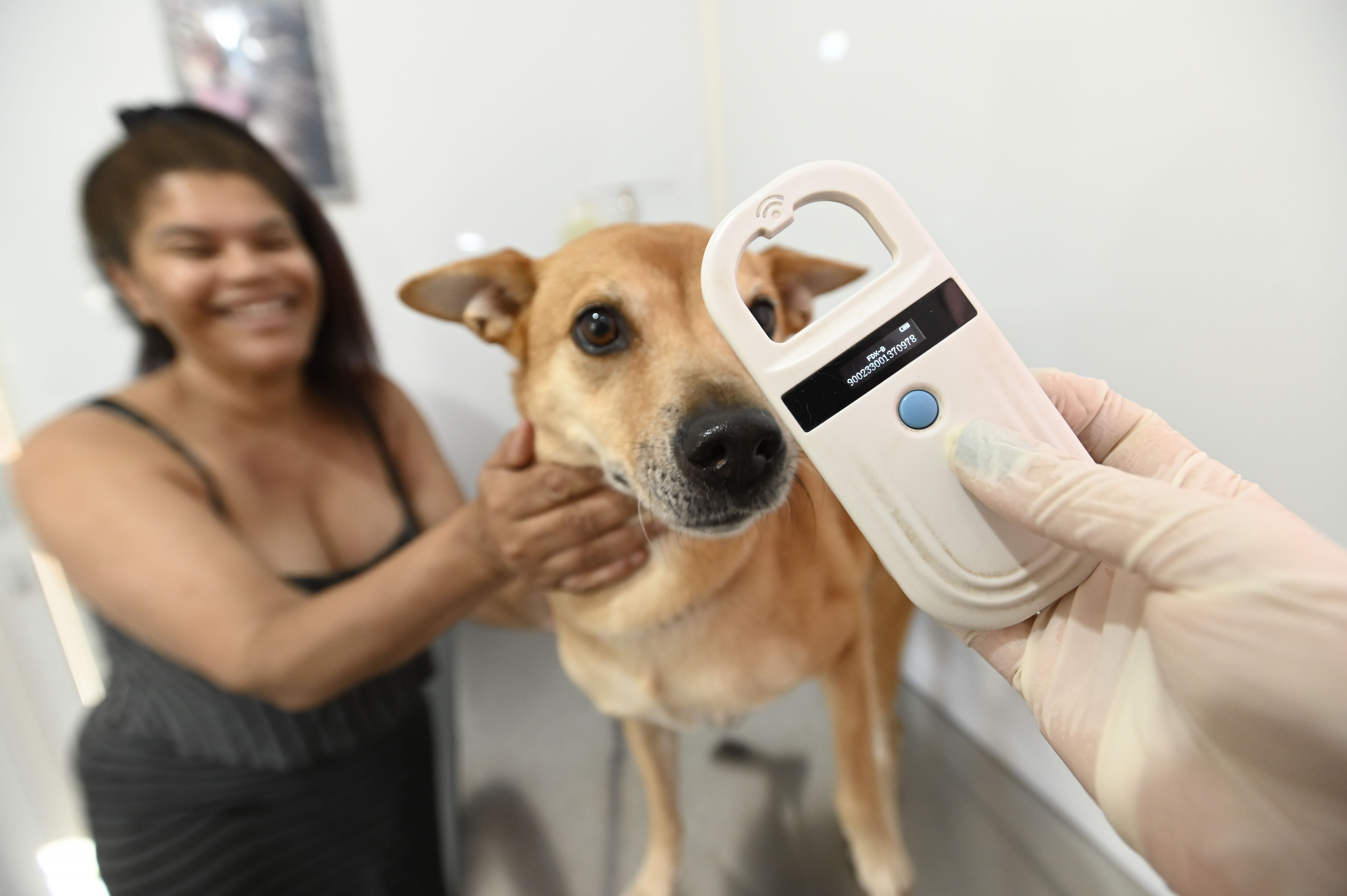 Campinas conta com dois Consultórios Veterinários Móveis, que oferecem atendimento veterinário itinerante e gratuito para cães e gatos em todas as regiões da cidade