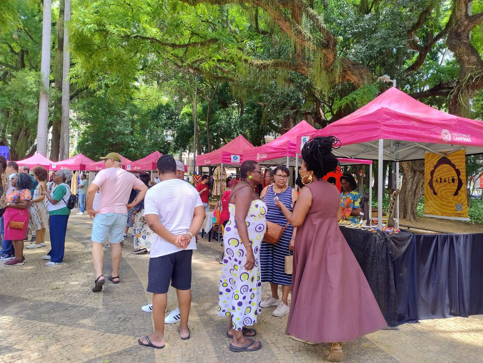 Evento foi promovido pela Secretaria de Políticas para as Mulheres em parceria com o Instituto Negras em Ação