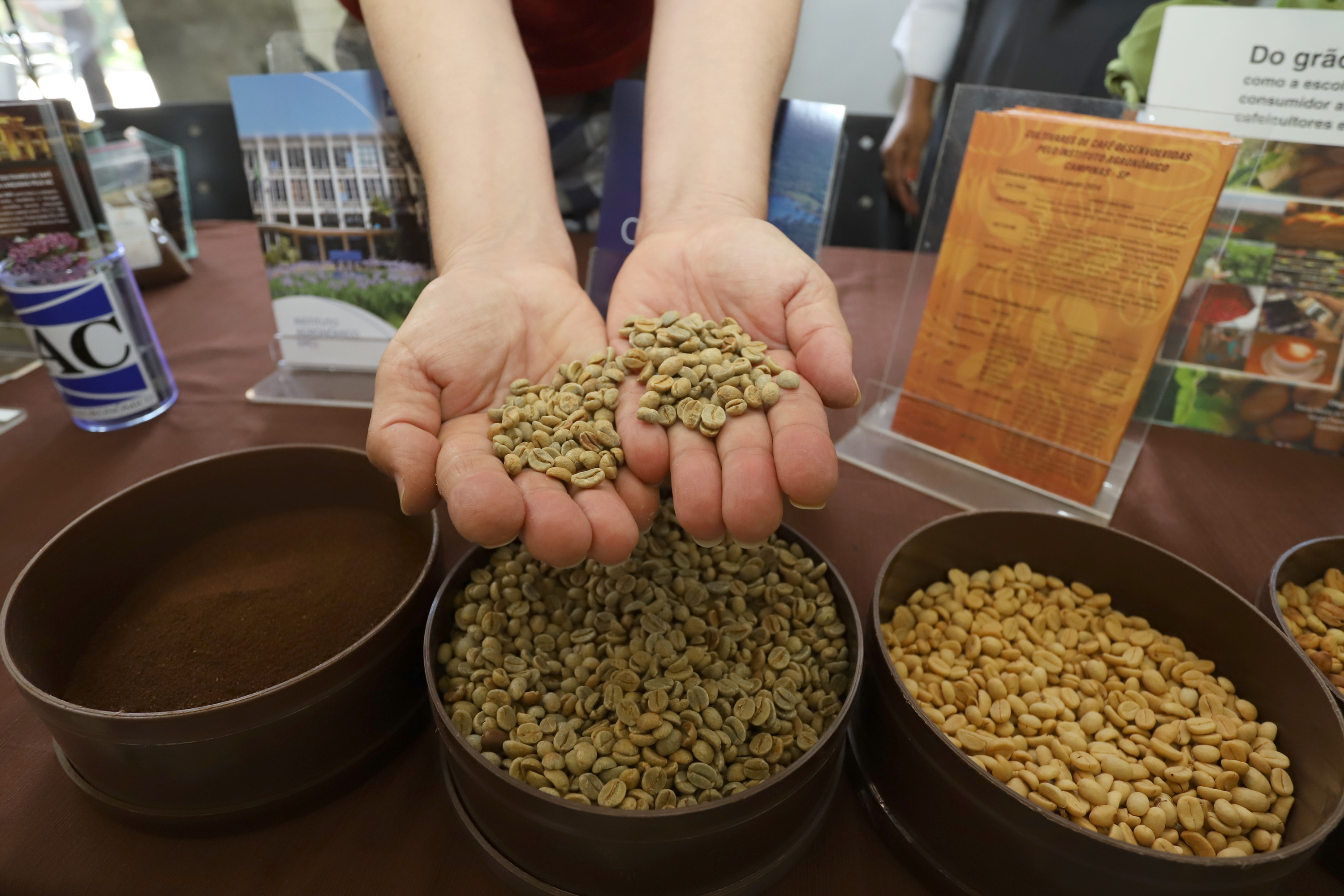 O concurso deste ano teve recorde de inscritos, recebendo 391 inscrições de 77 municípios