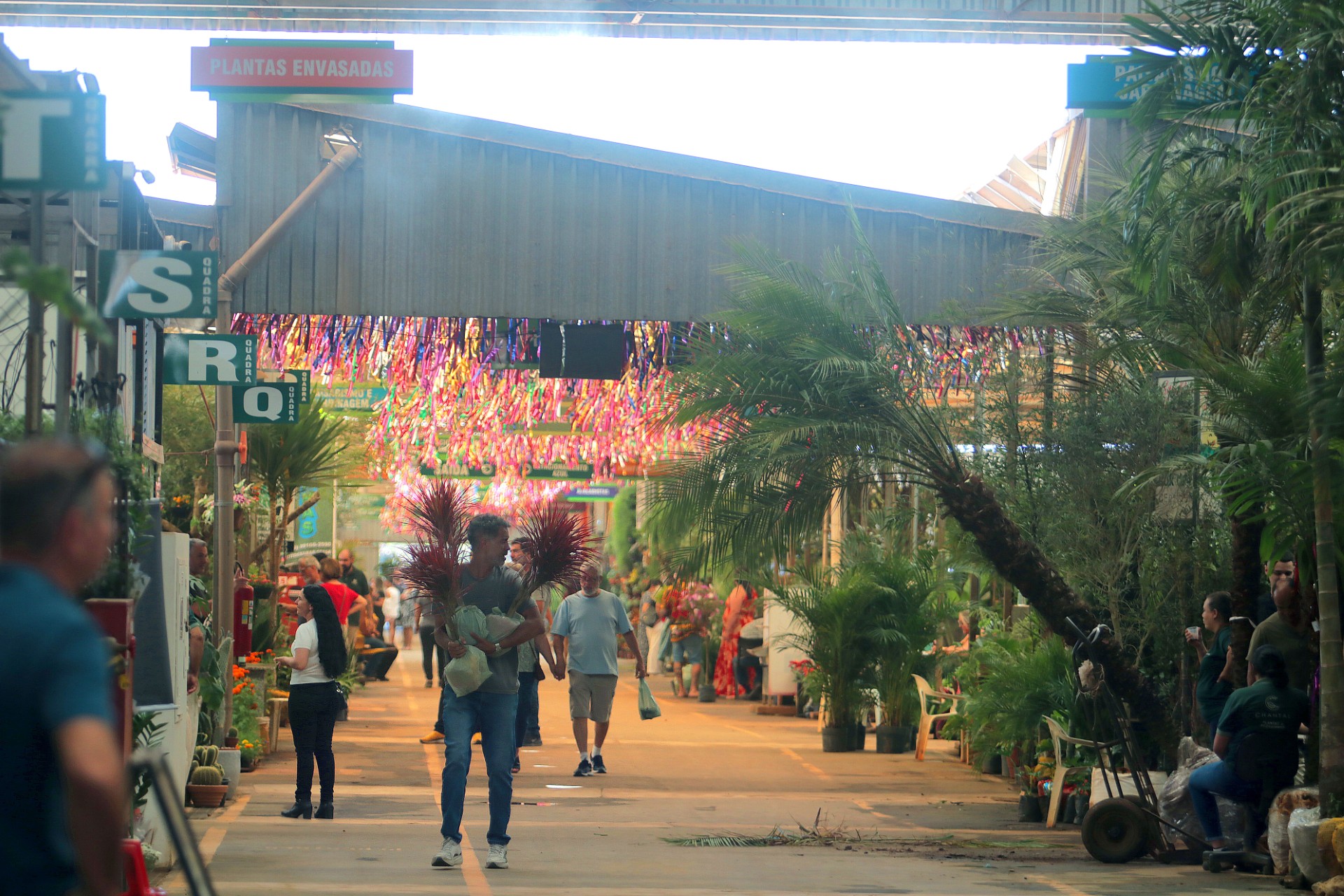Público poderá aproveitar o Mercado de Flores durante o evento 