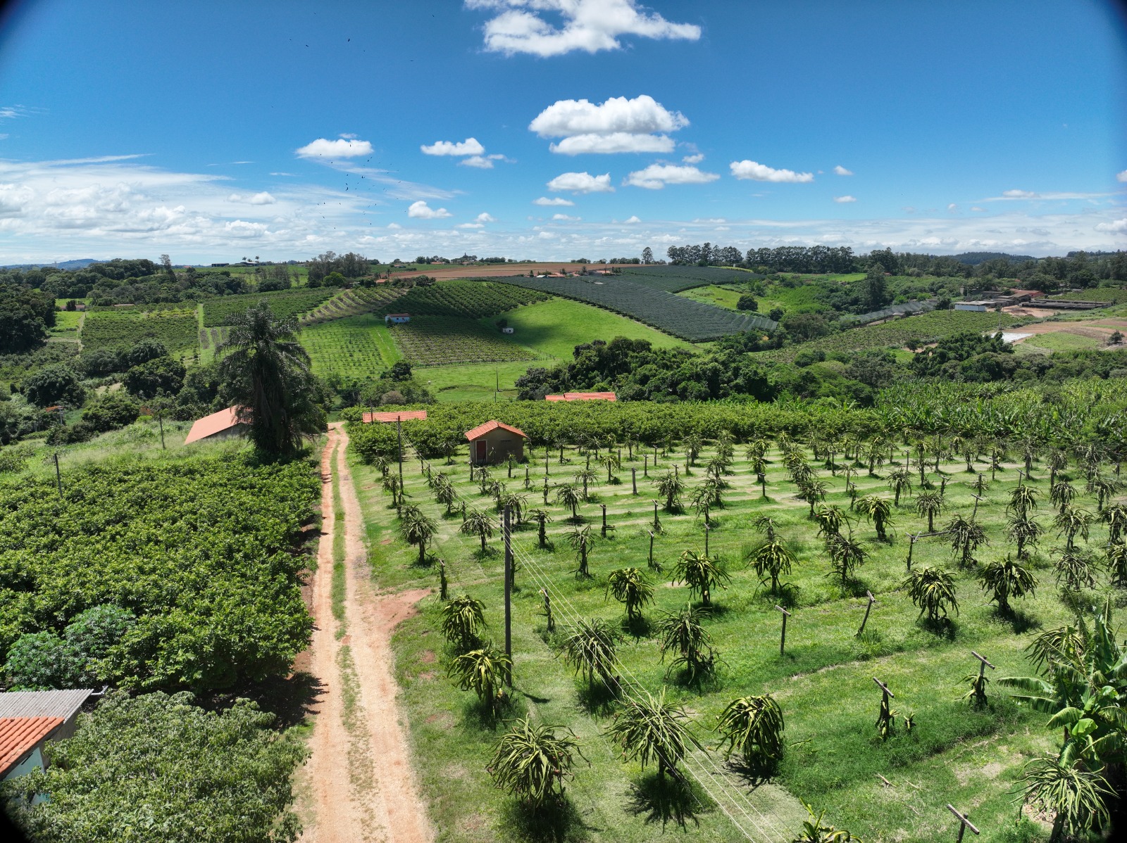 Sítio localizado no bairro rural Descampado, habilitado no PSA Água em 2019, recebeu incentivos monetários (R$ 9.200,00) e não monetários, como sistemas de tratamento de esgoto, apoio técnico para conservação do solo e para outorga de uso dos recursos hídricos, além de restauração florestal