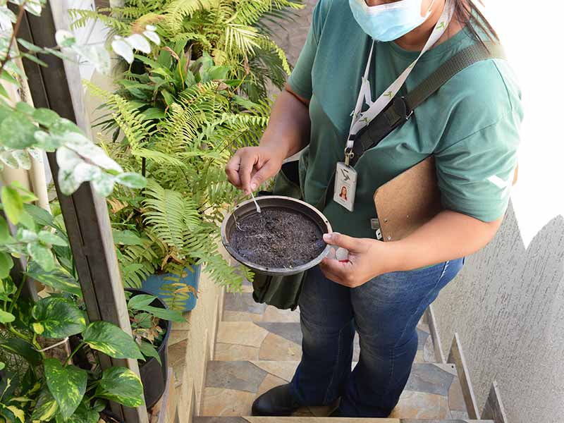 Fazer busca ativa e controlar a proliferação do mosquito transmissor da dengue, zika e chikungunya é responsabilidade de todos