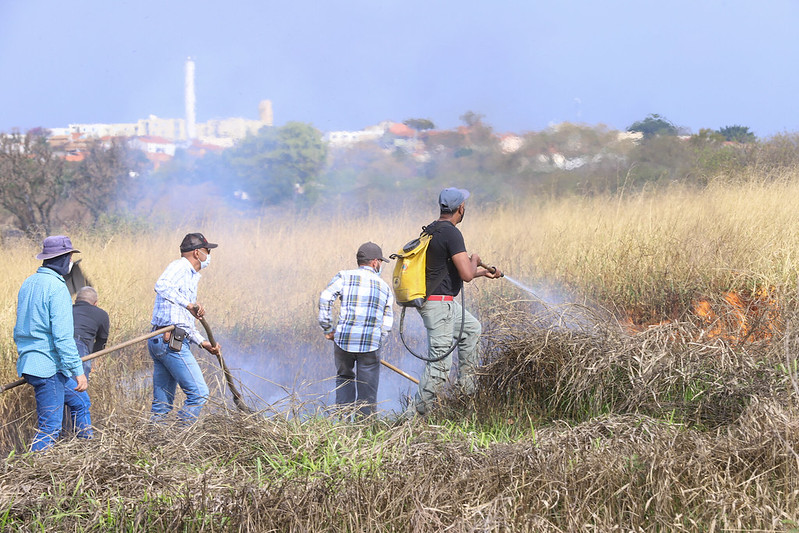 Brigadistas são voluntários