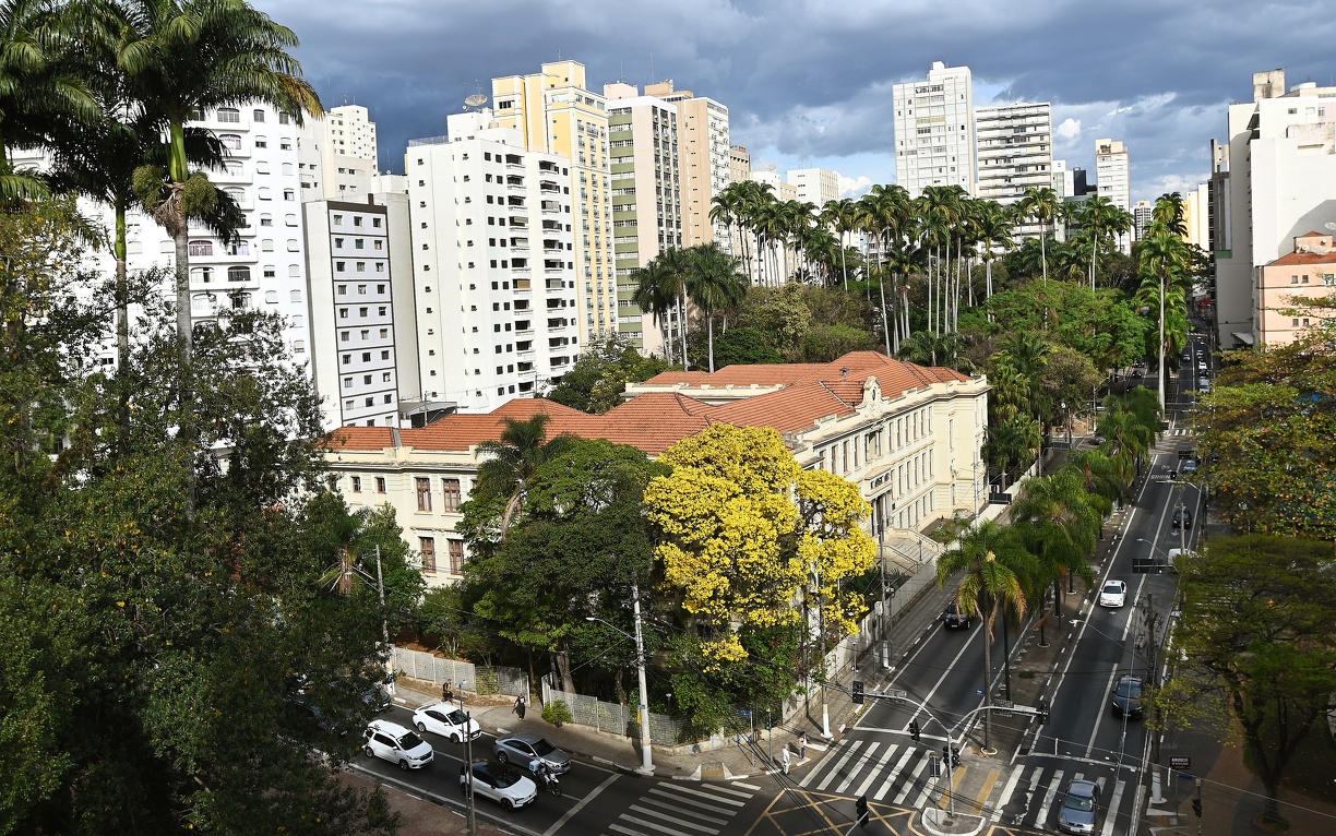 Carlos Bassan Flores amarelam emolduram prédio de escola no Centro: florada dura entre cinco e dez dias, dependendo das condições climáticas