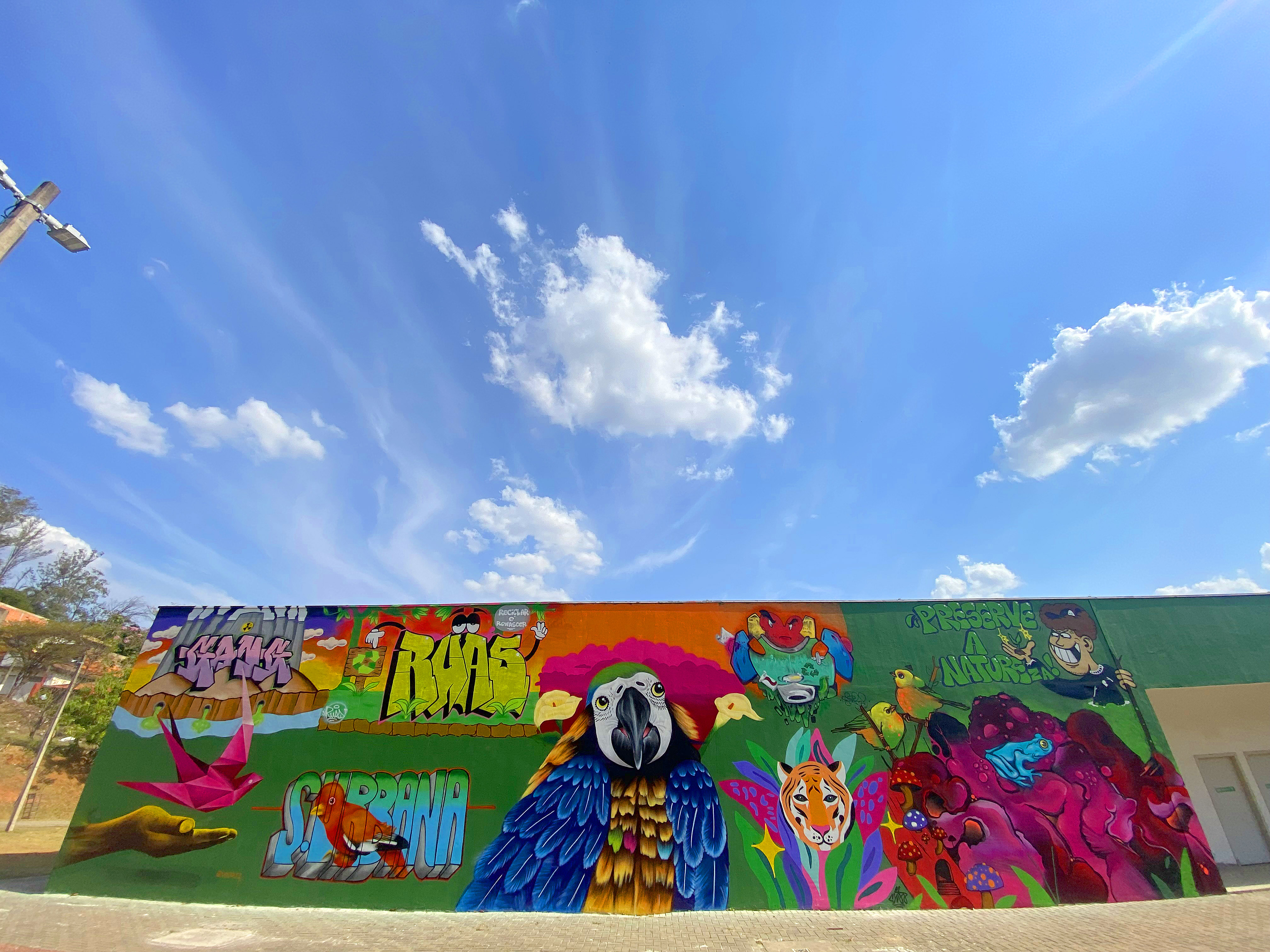 Trabalho foi realizado por diversos artistas de Campinas, formando um encontro de estilos e visões nas paredes externas do CEU