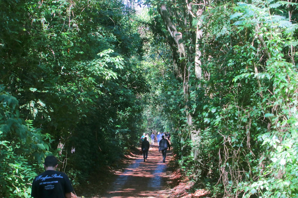 Decisão foi tomada por conta da previsão de chuvas fortes em Campinas durante o fim de semana