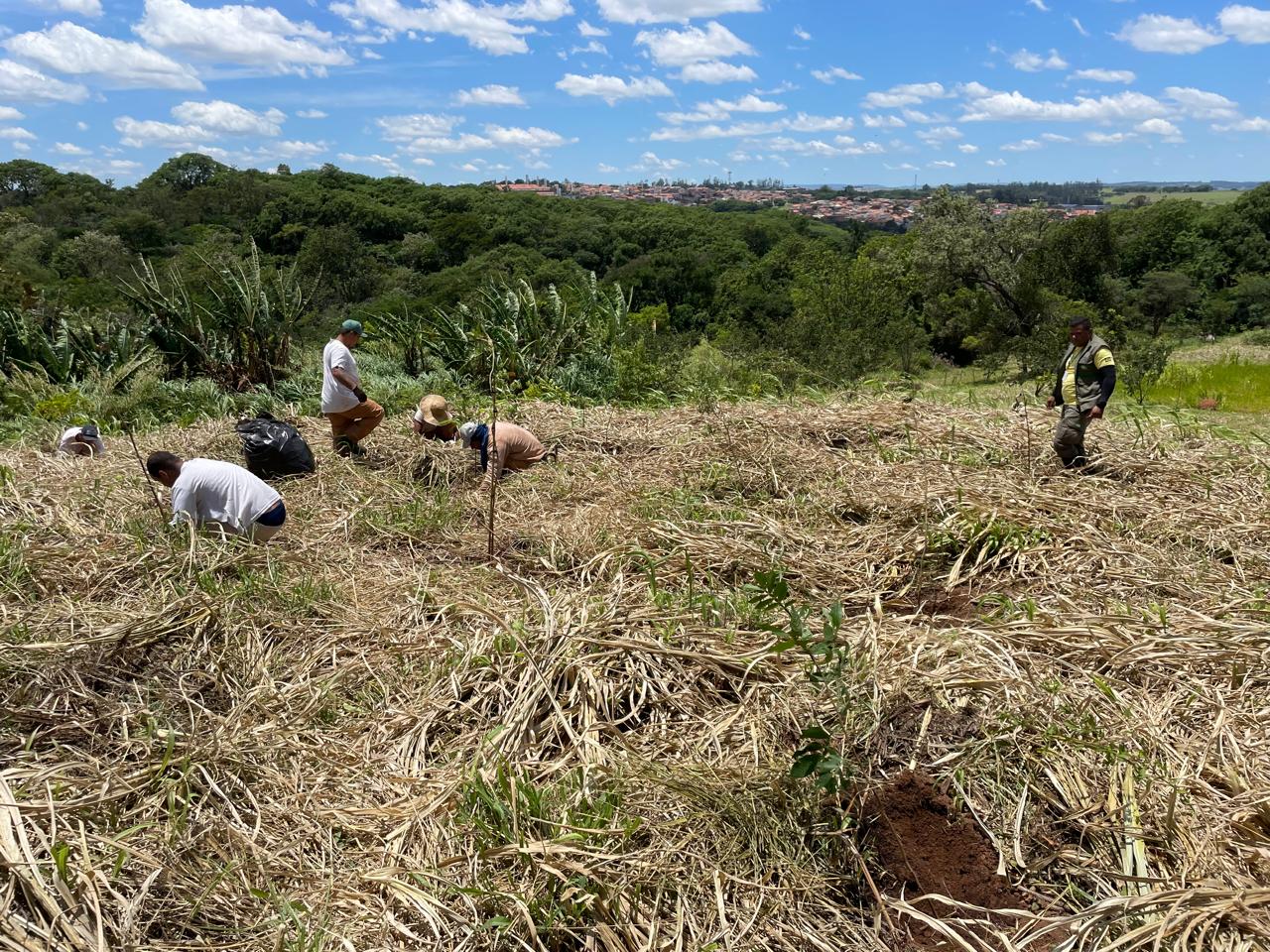 Iniciativa contribui para a recuperação ambiental da área e para o fortalecimento dos ecossistemas locais