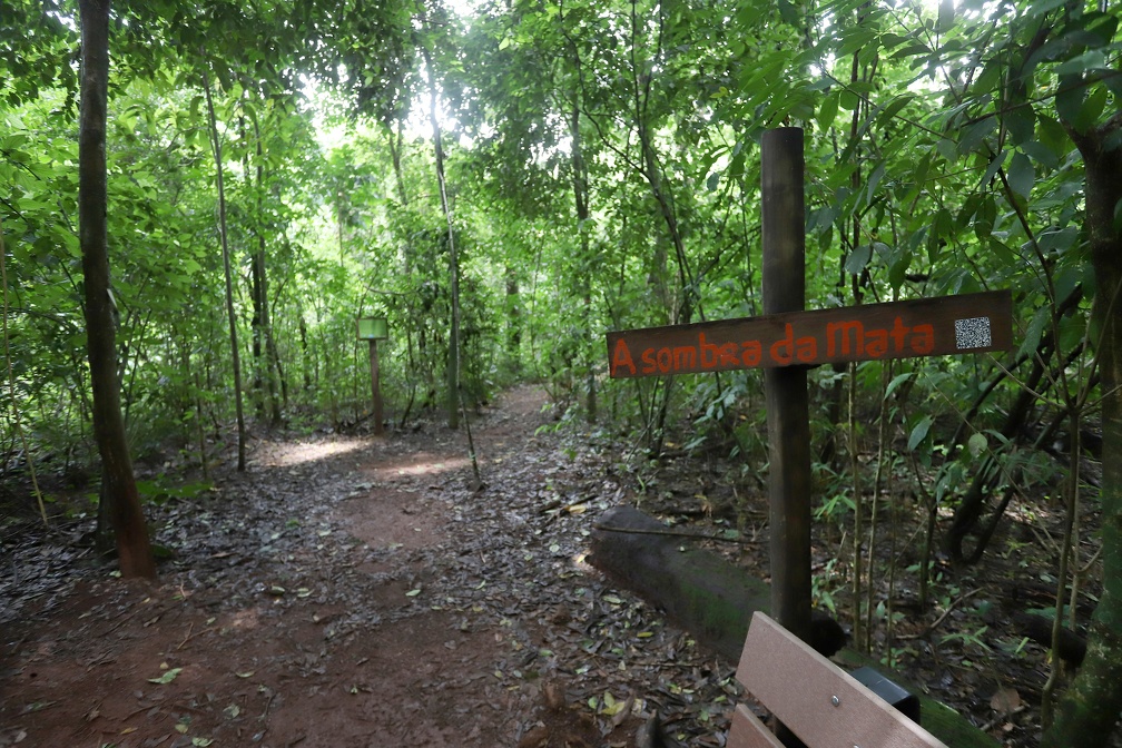 Evento na Mata de Santa Genebra celebrará tradições indígenas