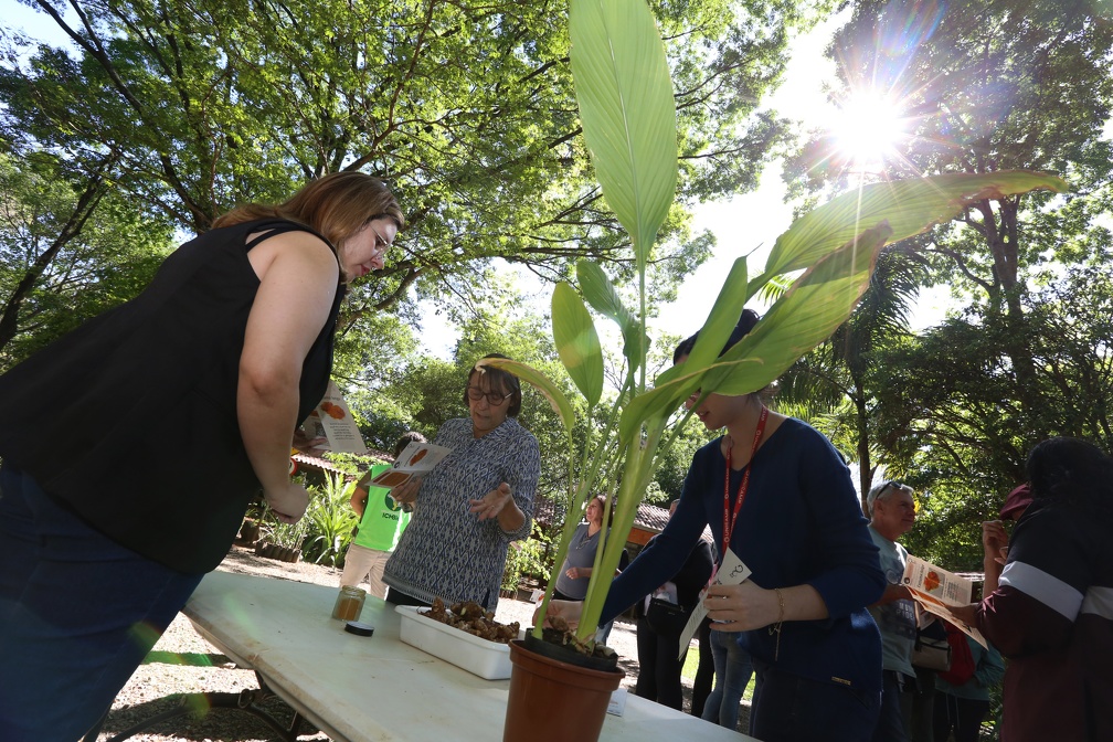Objetivo é proporcionar a participação de voluntários que não conseguem atuar por períodos mais longos no programa