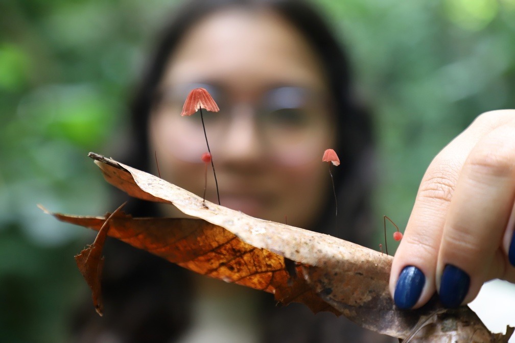 Programação prevê paradas no percurso para registro fotográfico e observação das espécies encontradas