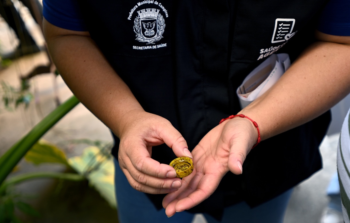 Prefeitura já fez 1,1 milhão de visitas a imóveis em 2025 para controle de criadouros do Aedes aegypti