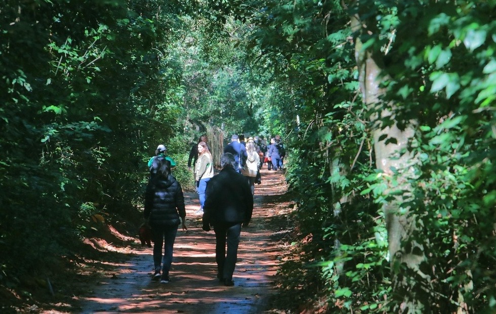 A palestra vai abordar a biodiversidade da Mata de Santa Genebra e os programas de conservação desenvolvidos 
