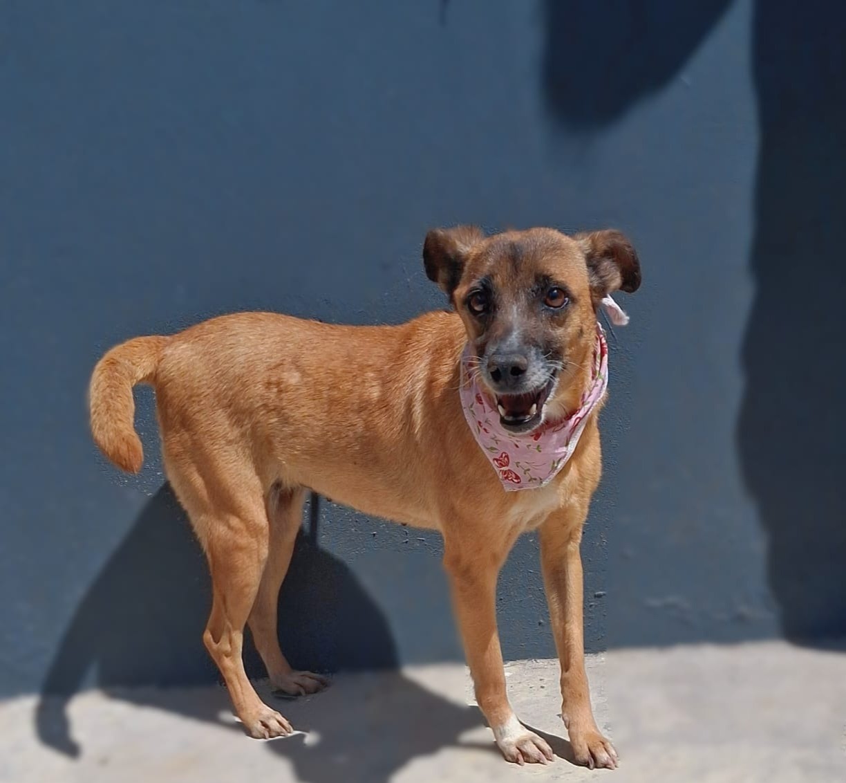 Divulgação Areta, 1 ano de idade