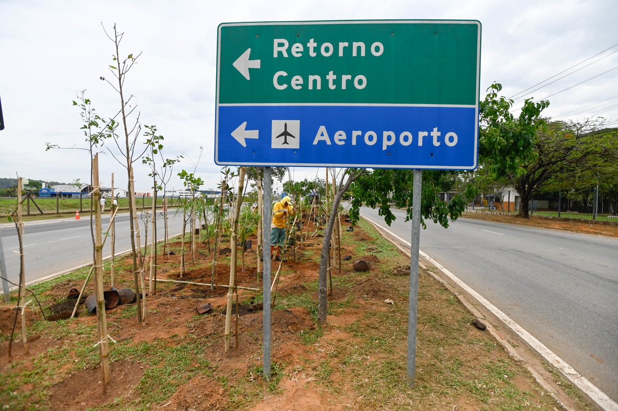 Rogério Capela Espécies utilizadas são nativas da Mata Atlântica: são mais de 21 mil mudas já plantadas nas florestas urbanas