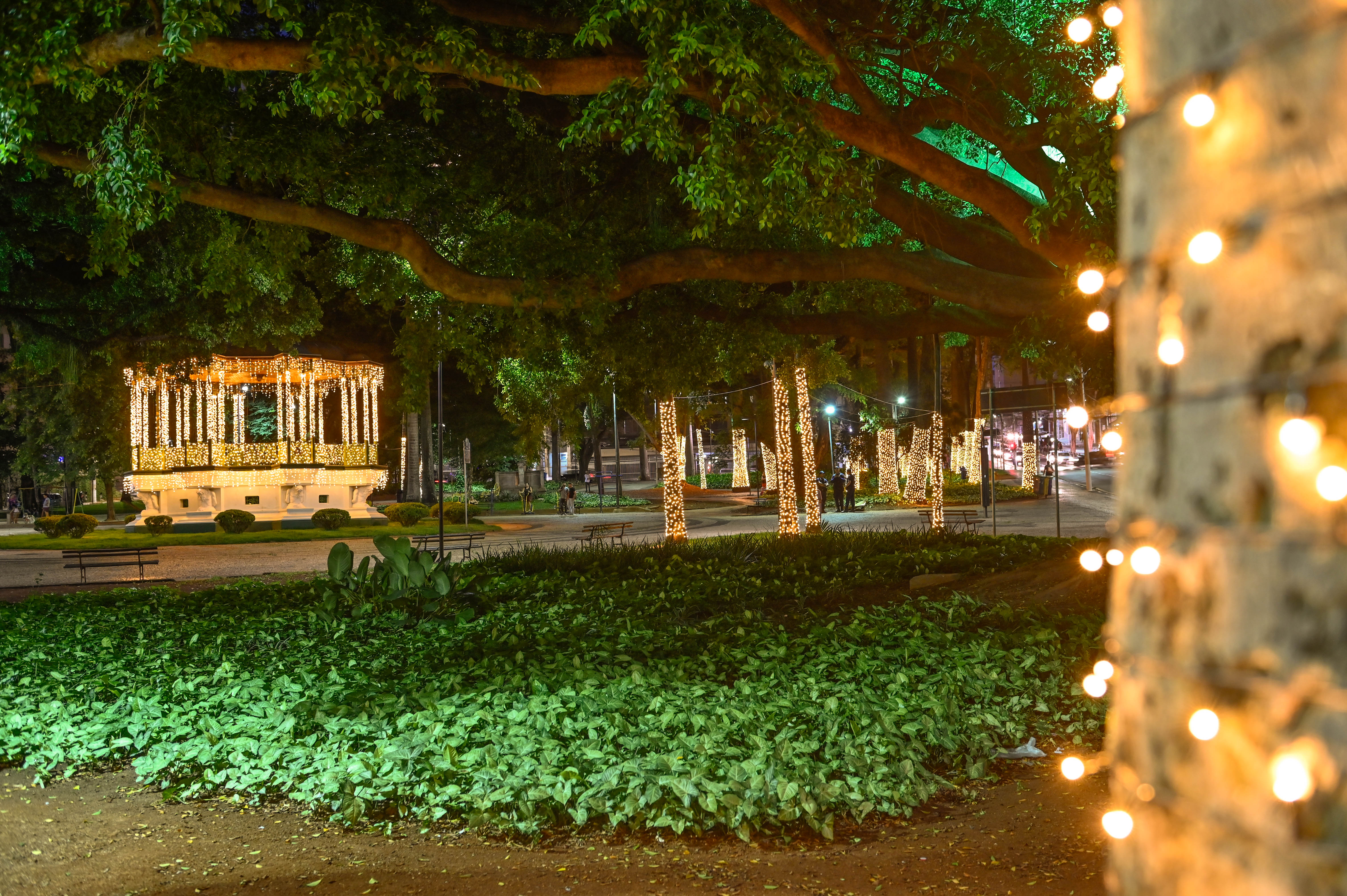 A ação faz parte do Natal Caminhos dos Sonhos, que este ano tem como tema “O grande presente para Campinas”