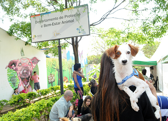 Castração de animais e microchipagem é feita gratuitamente nos Consultórios Veterinários Móveis