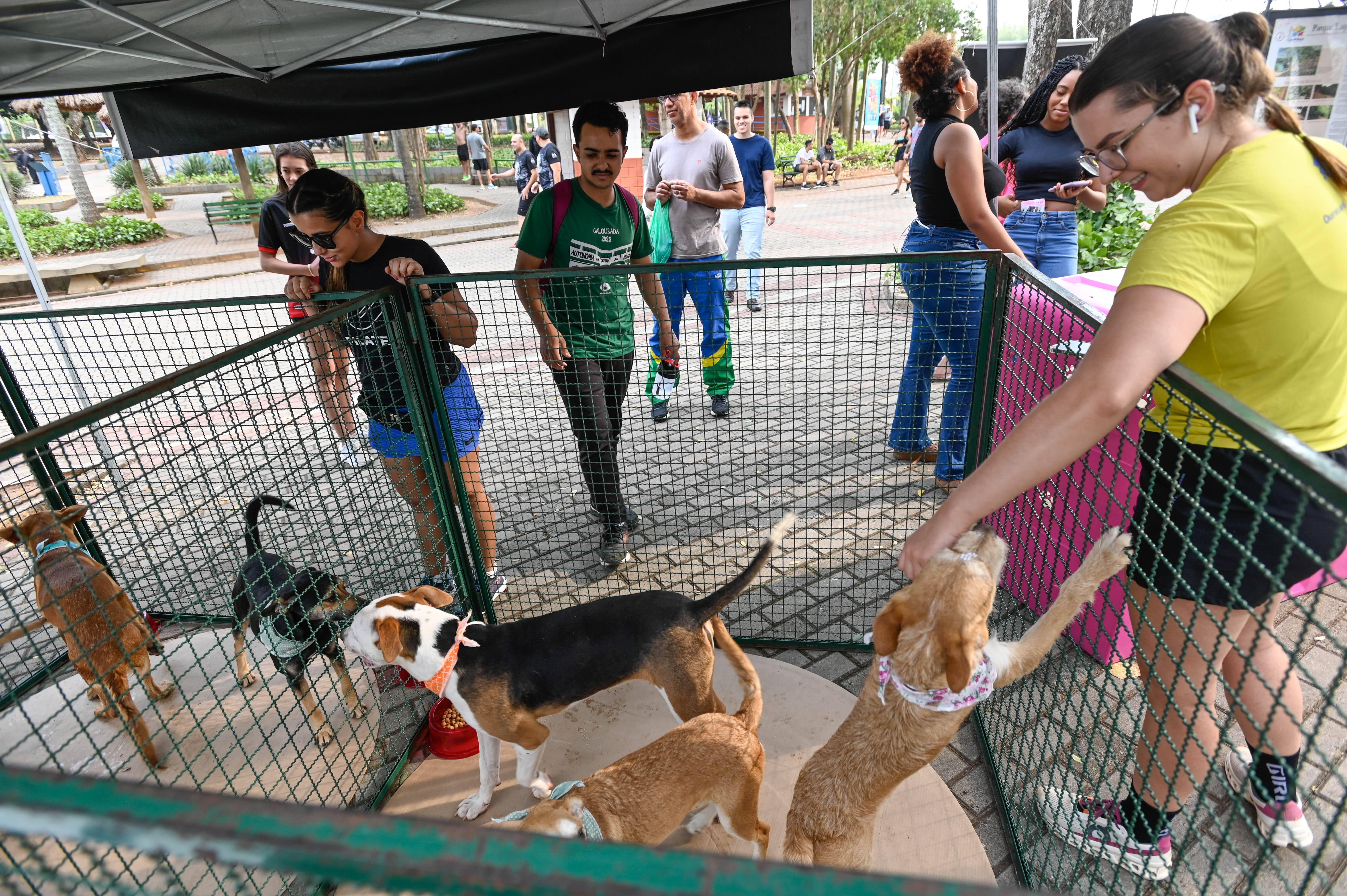 Rogério Capela Visitantes conhecem pets da Feira de Adoção realizada na Lagoa do Taquaral em 15 de setembro de 2024