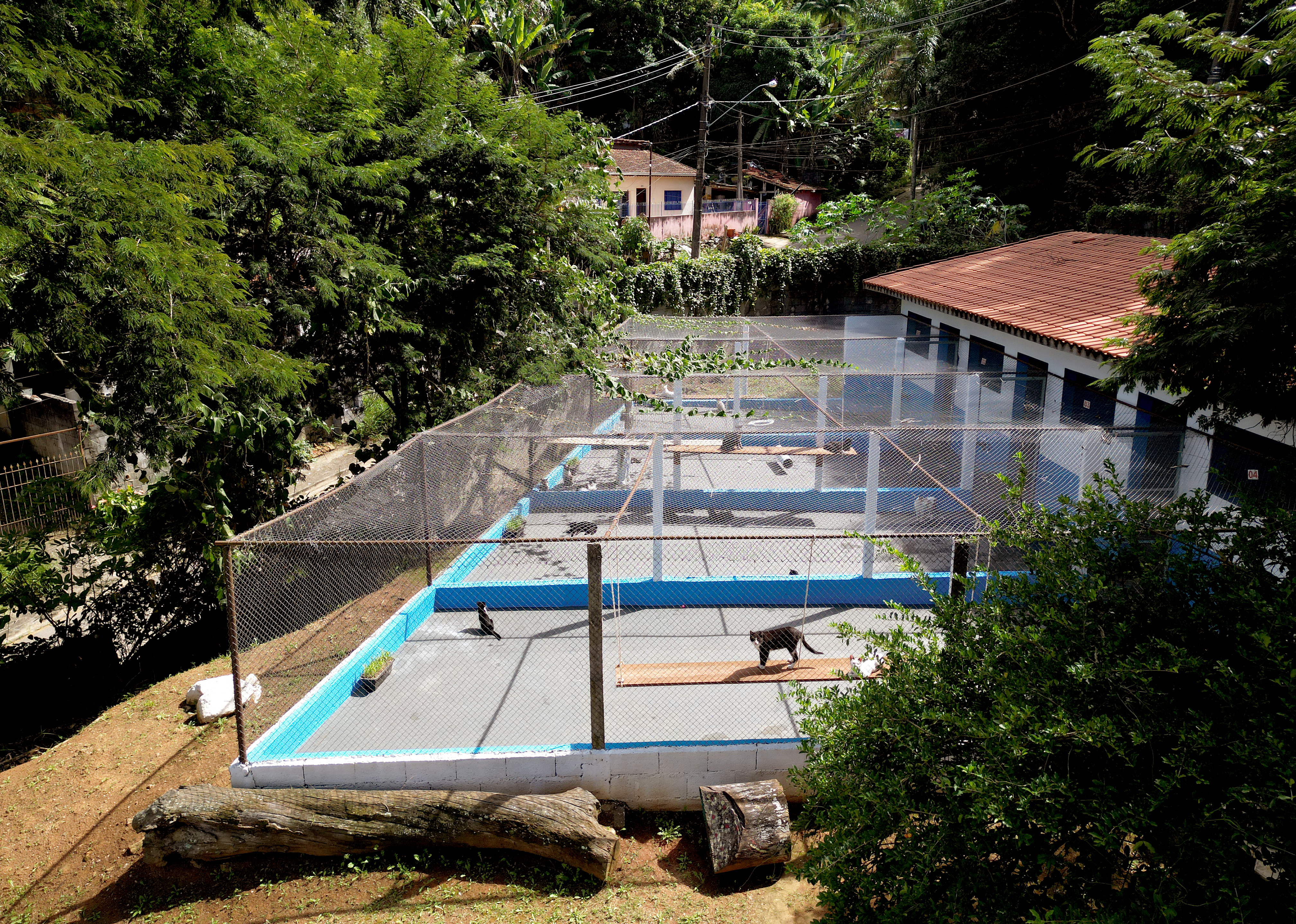 Instalações abrigam os animais de forma digna em construções de alvenaria parcialmente cobertas, com proteção para vento e chuva e com solário, para que possam se exercitar e socializar