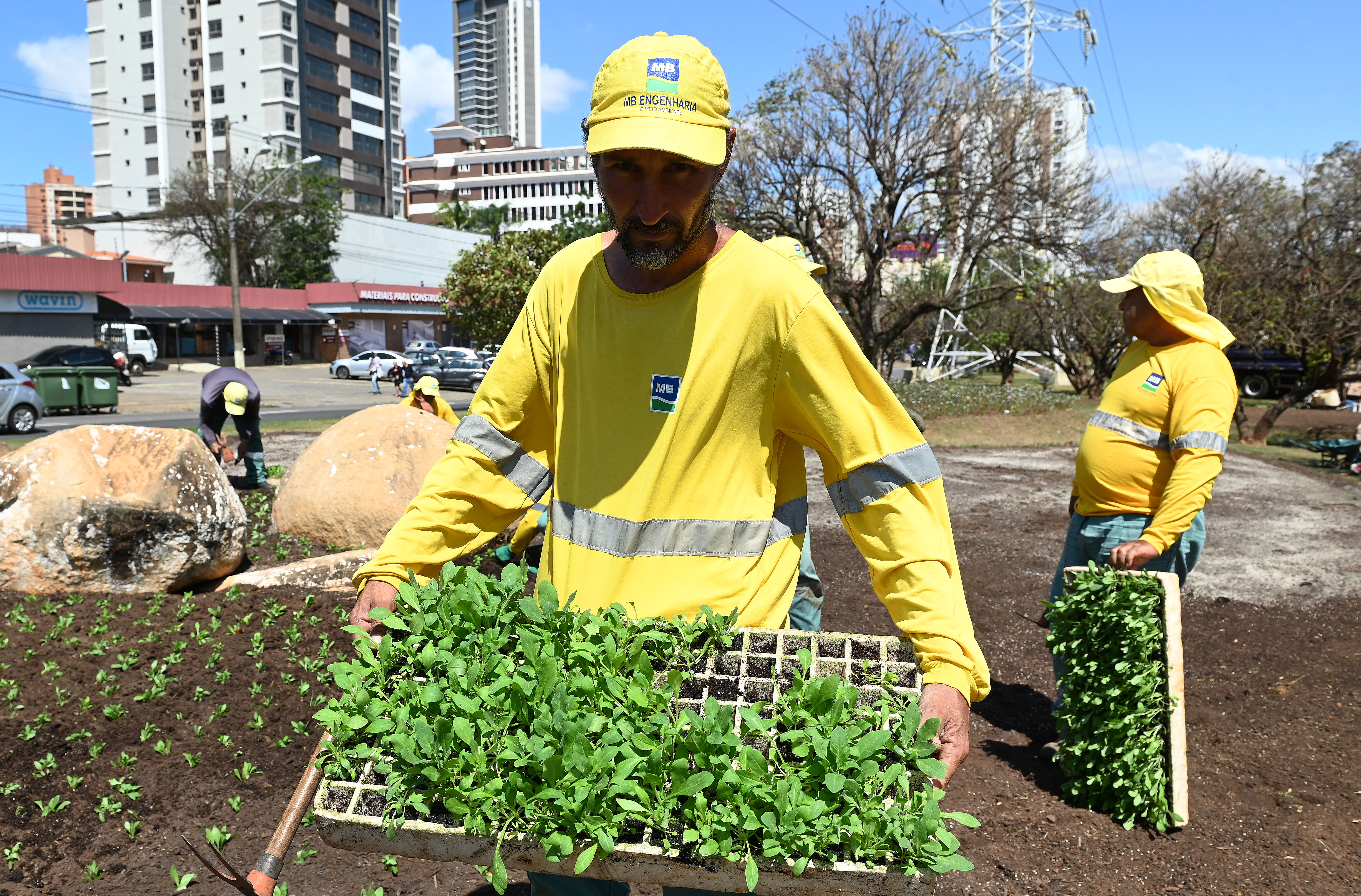 E próxima semana, com o início da Primavera, estão previstas mais 15 mil mudas de flores