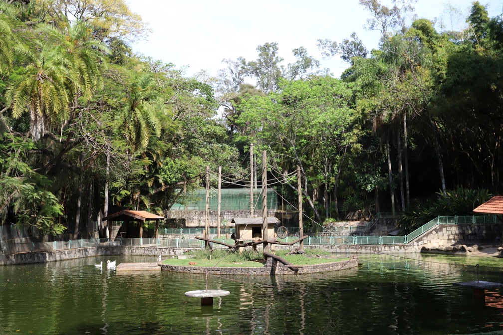 O Bosque dos Jequitibás abriga cerca de 200 animais